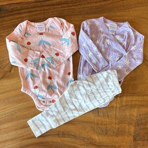 Hanna Andersson Pink and Lavender Bodysuits Set